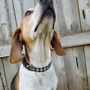 Meet your Posher, Caitlin